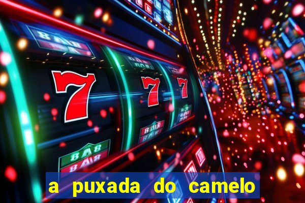 a puxada do camelo no jogo do bicho
